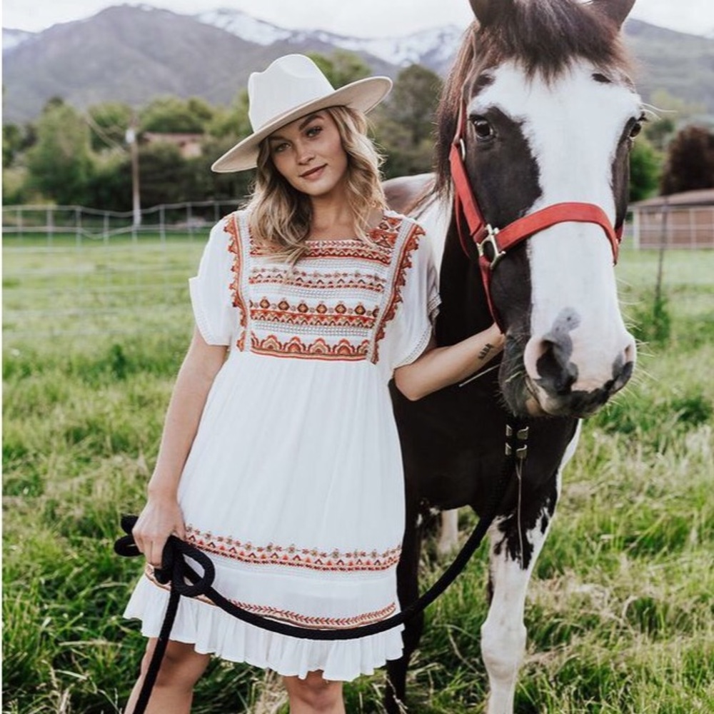 NWT Free people Sunrise Wanderer Embroidered Mini